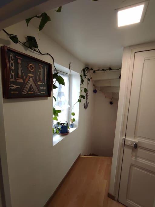 שינון Chaleureuse Maison De Ville Avec Parking Gratuit מראה חיצוני תמונה